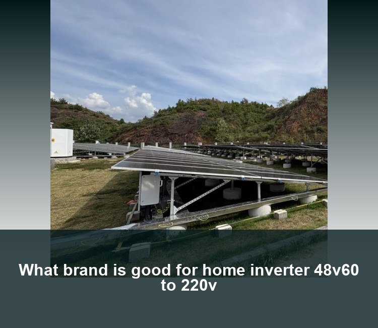 What brand is good for home inverter 48v60 to 220v