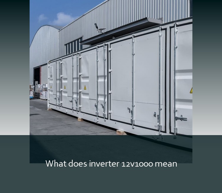 What does inverter 12v1000 mean