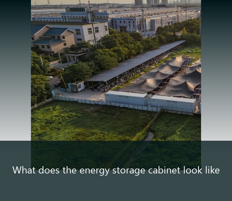 What does the energy storage cabinet look like