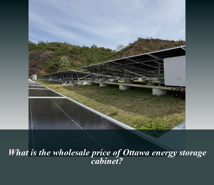What is the wholesale price of Ottawa energy storage cabinet?