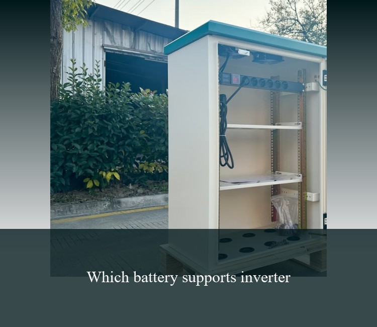 Which battery supports inverter