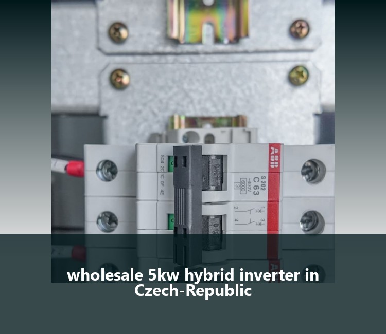 wholesale 5kw hybrid inverter in Czech-Republic