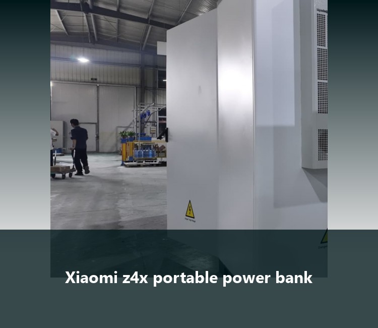 Xiaomi z4x portable power bank
